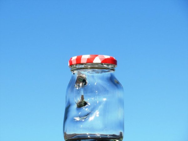 画像3: ミニストック２００■４８本入■ (3)