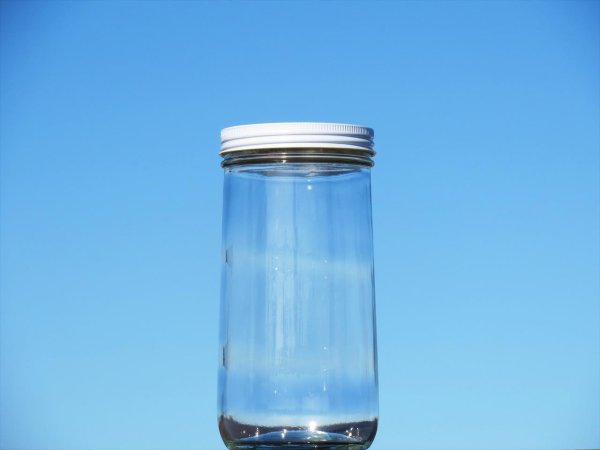 画像1: Ｆ１０００■２４本入■送料無料＆６％ＯＦＦ (1)