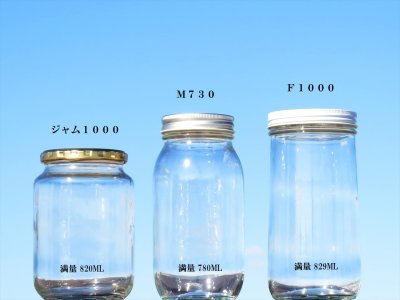 画像3: F1000■24本入■送料無料&6%OFF