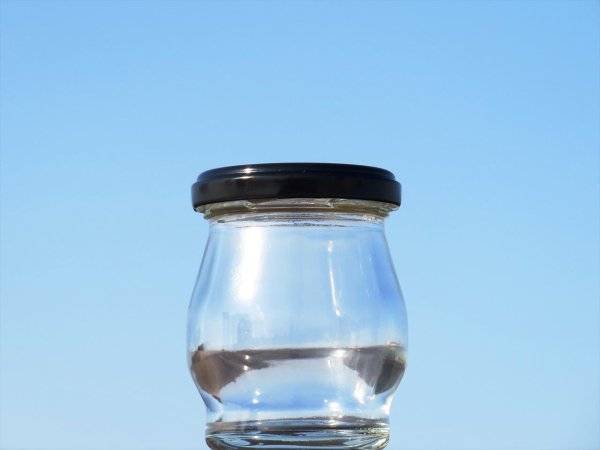 画像4: Ｂスイーツ１００■４８本入■ (4)