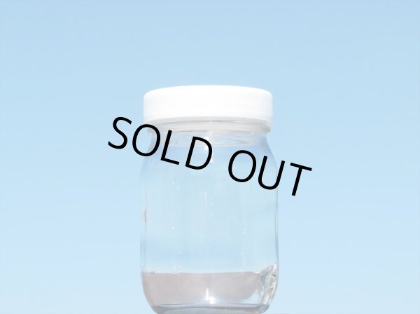 画像6: M370■24本入■送料無料 (6)