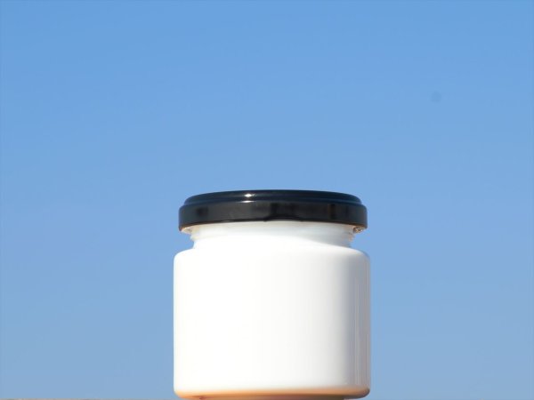 画像3: （ギョク）ＤＳ１００丸■８４本入■ (3)