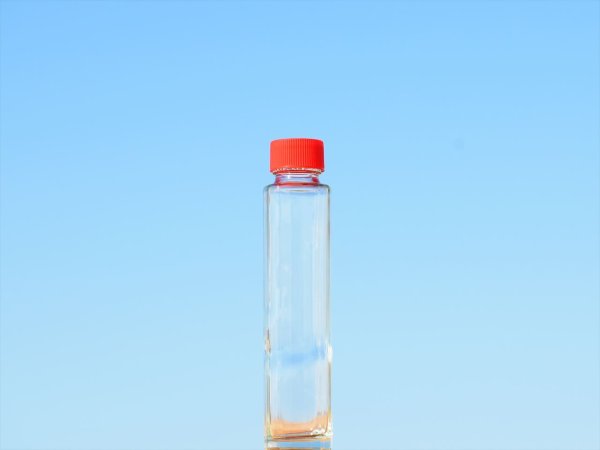 画像7: ゴージャス１５０ＰＰ■５４本入■ (7)