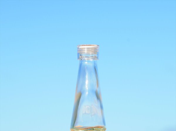 側面から見た姿です