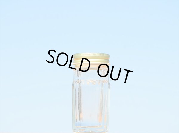 画像2: ウニ６０■３５本入■ (2)