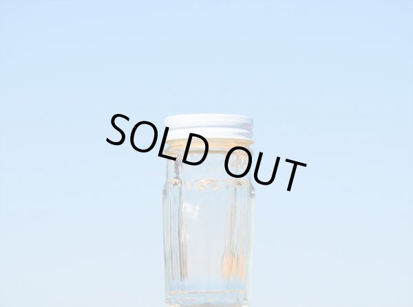 画像1: ウニ６０■３５本入■ (1)