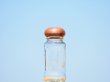 画像2: 食品８６■１０８本入■ (2)